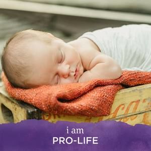 Meet your Posher, Lynn